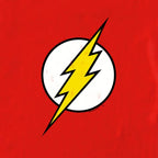 Productafbeelding DC - Flash Logo T-Shirt
