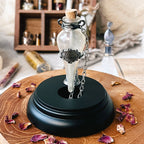 Image produit Harry Potter - Collier Felix Felicis incl. Display