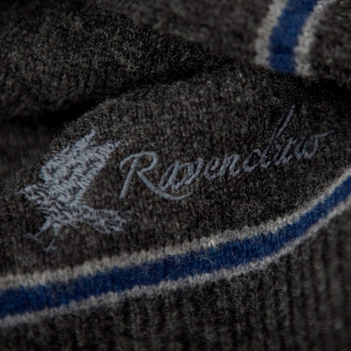 Productafbeelding Harry Potter - Ravenclaw Trui Vest