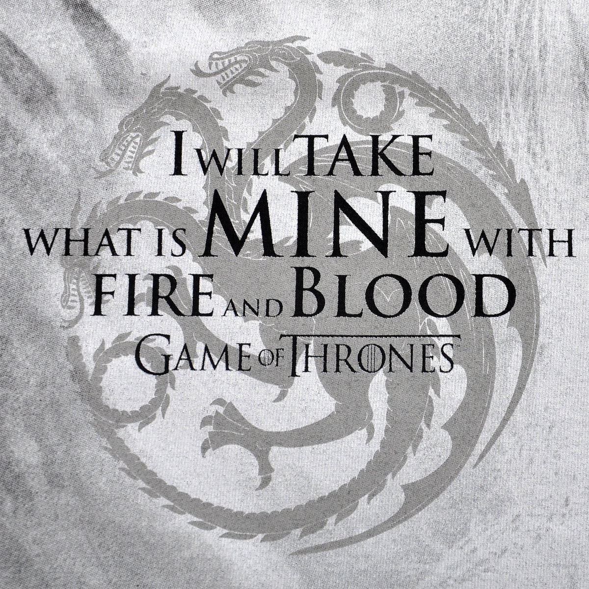 Image produit Game of Thrones - T-shirt Daenerys Fire and Blood