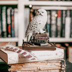 Productafbeelding Hedwig - Harry Potter Magische Wezens Figuur