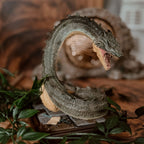 Image produit Basilic - Figurine des animaux magiques de Harry Potter