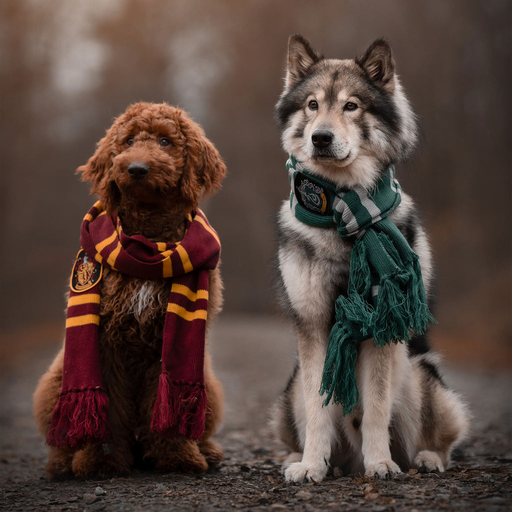 Produktbild Harry Potter - Gryffindor Strickschal gelb-rot