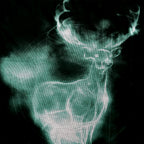 Image produit Harry Potter - T-shirt Patronus noir