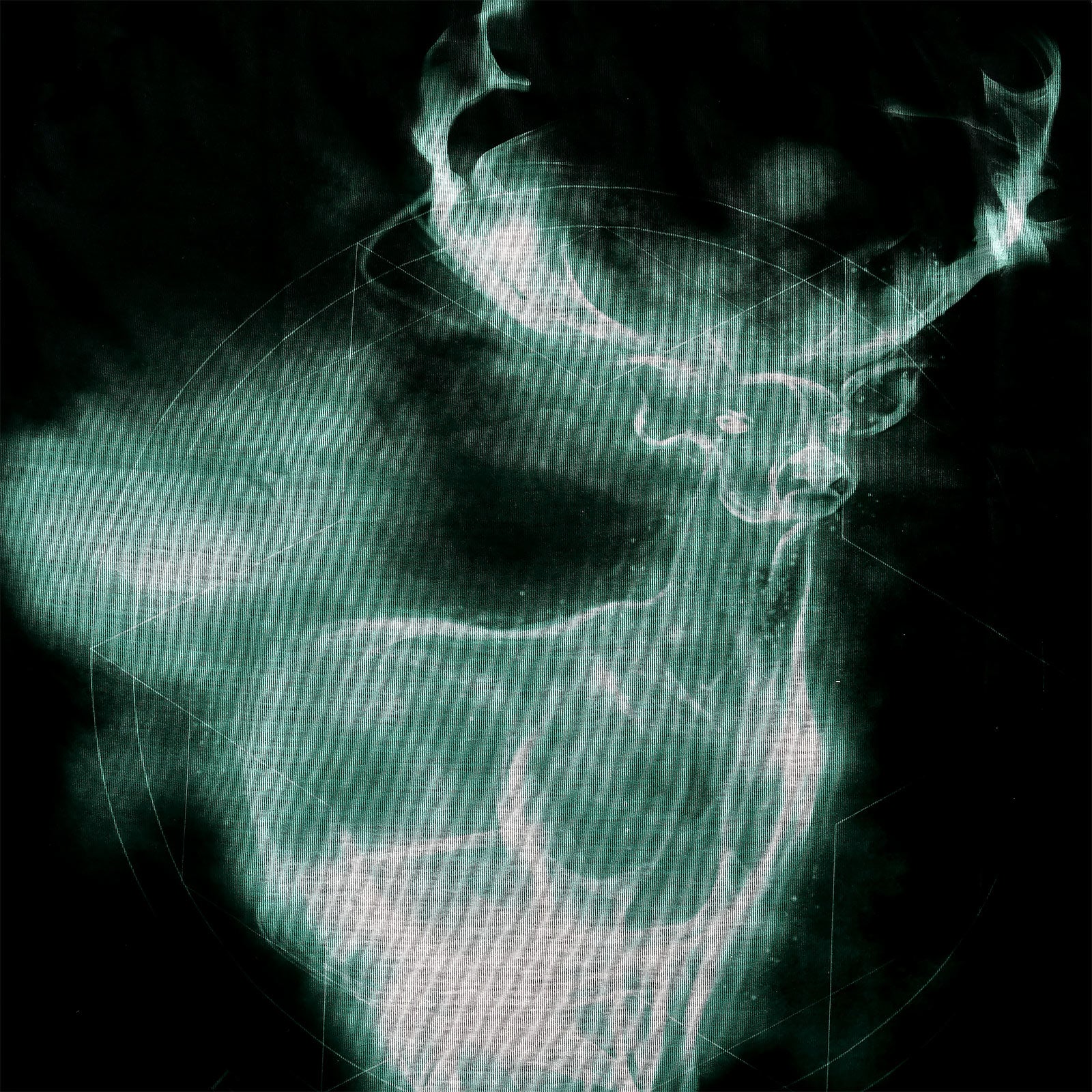 Image produit Harry Potter - T-shirt Patronus noir