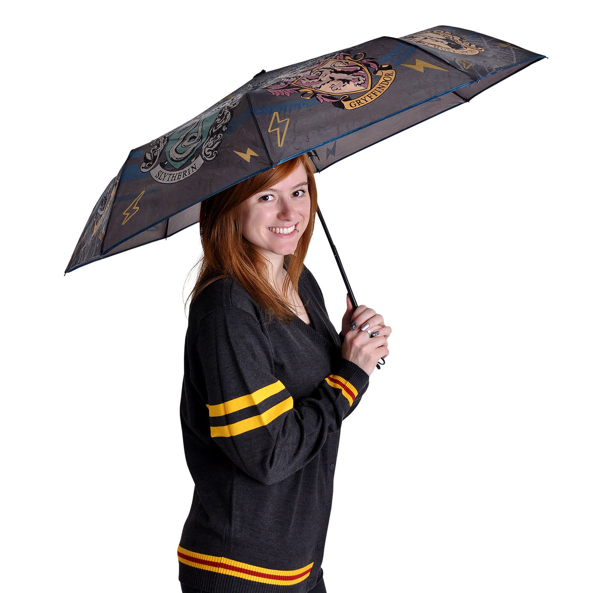 Productafbeelding Harry Potter - Hogwarts Huizen Wapenschild Paraplu met Aqua Effect