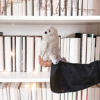 Productafbeelding Harry Potter - Hedwig Pluche Figur