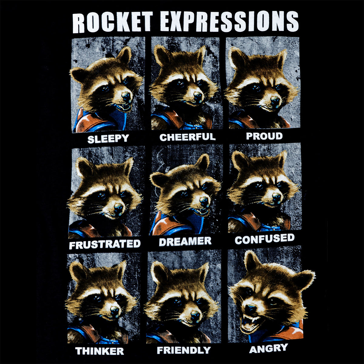 Produktbild Guardians of the Galaxy - Rocket Expressions T-Shirt schwarz
