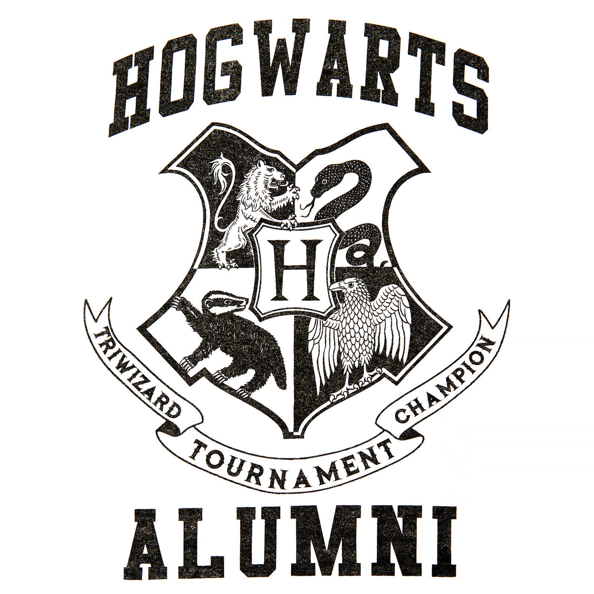Image produit Harry Potter - T-shirt pour femmes Hogwarts Alumni blanc