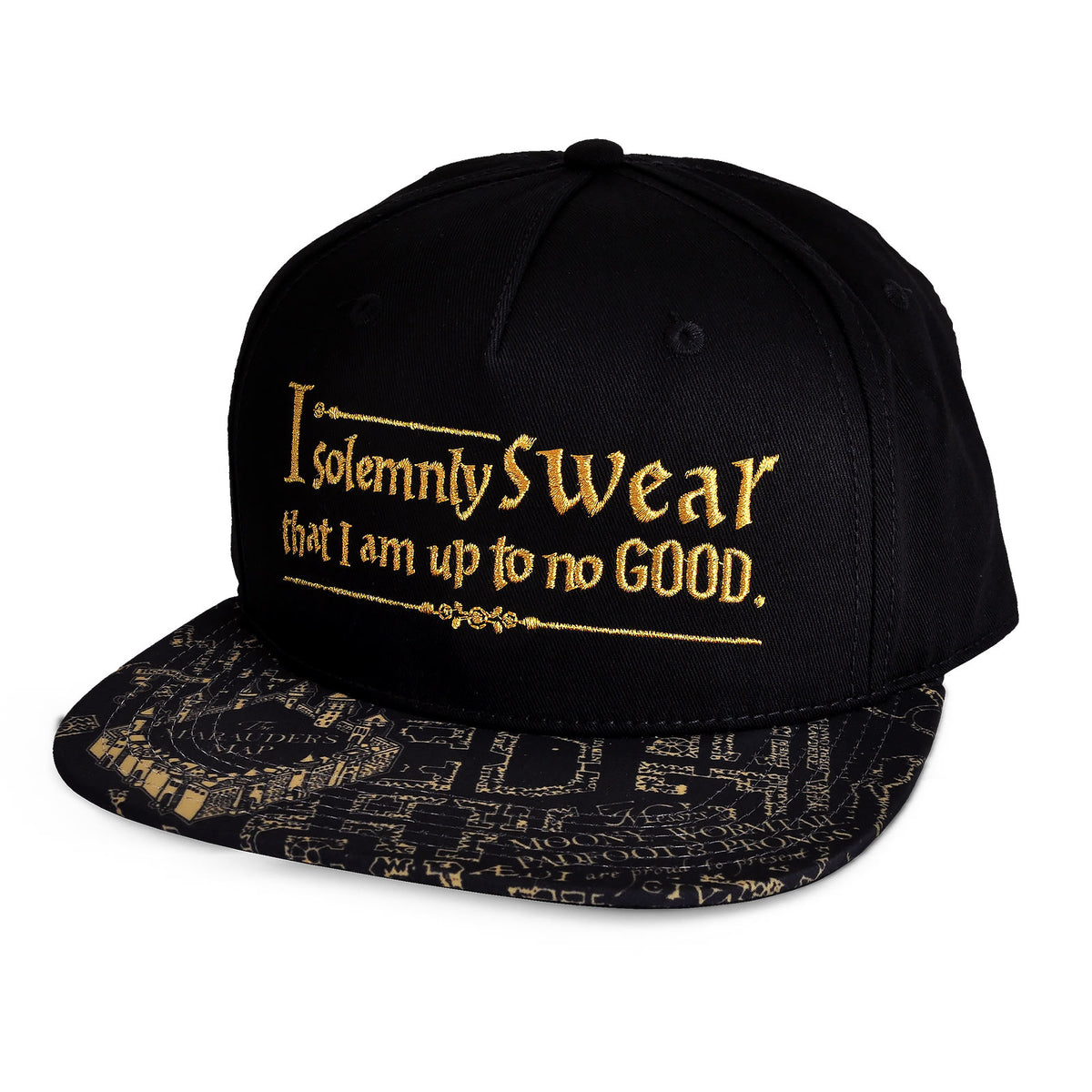Productafbeelding Harry Potter - Sluipwegwijzer Snapback Cap