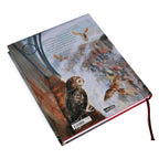 Image produit Harry Potter à l'école des sorciers - édition ornée