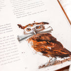 Image produit Harry Potter à l'école des sorciers - édition ornée