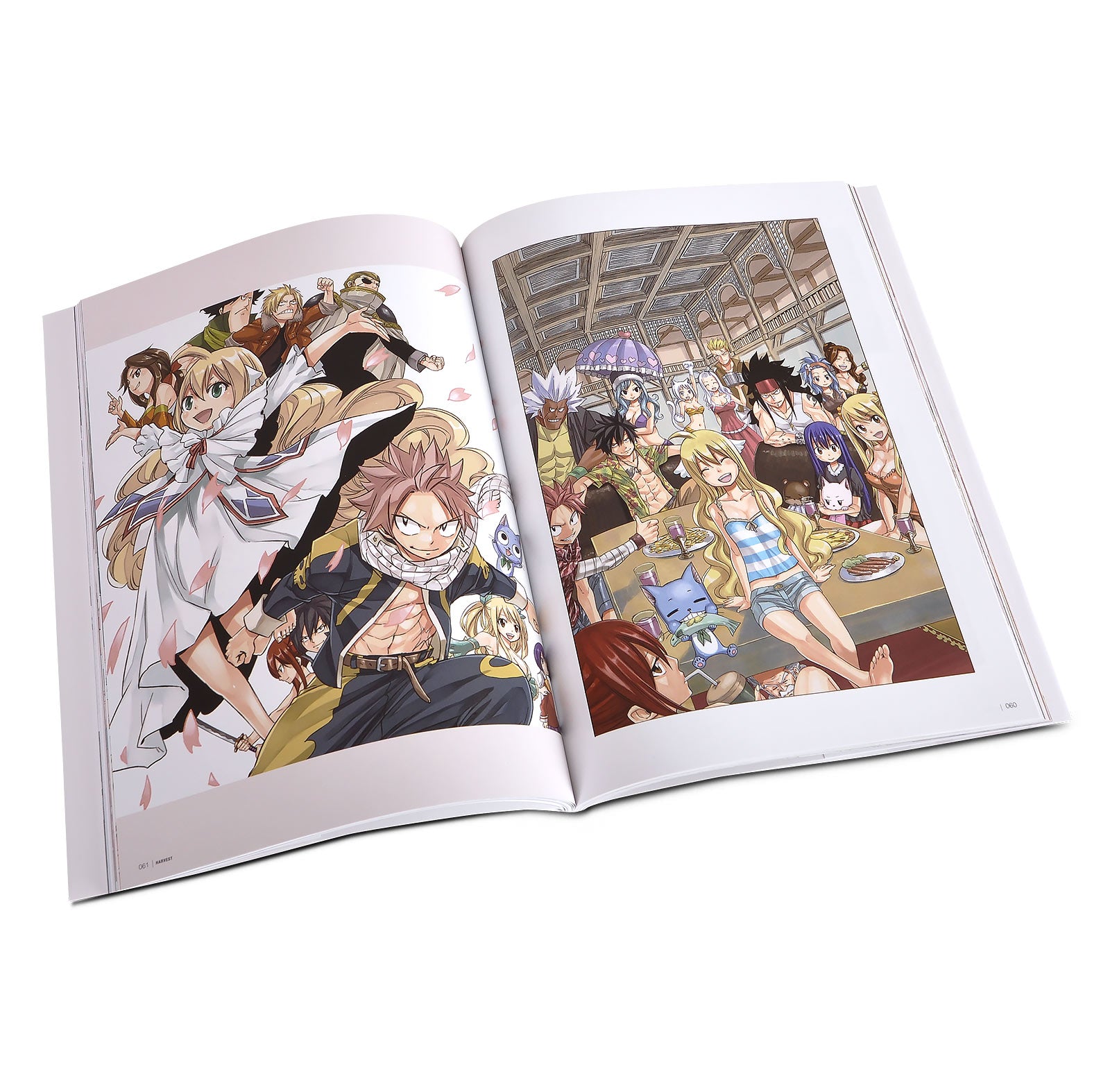 Produktbild Fairy Tail - Harvest Artwork