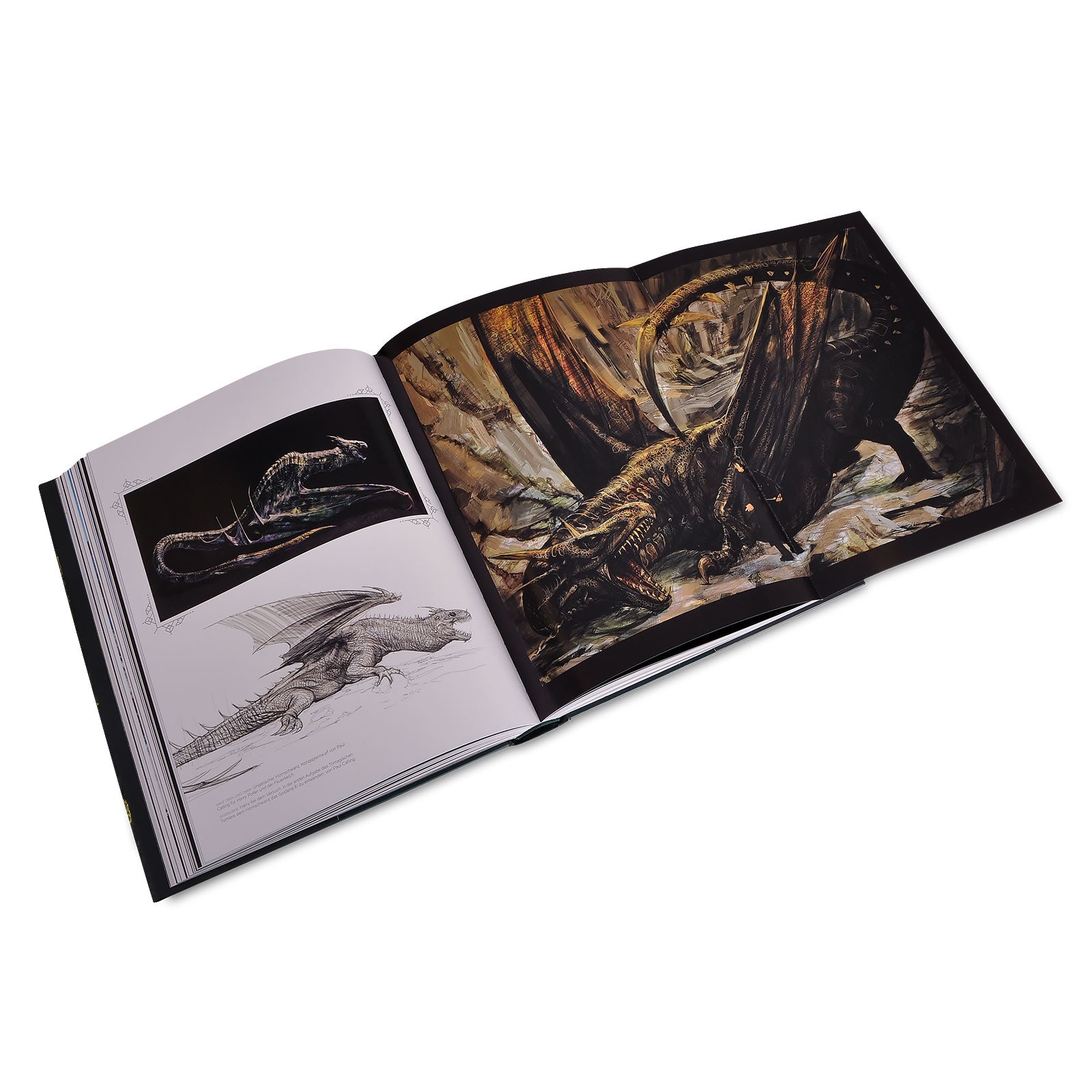 Productafbeelding De Kunst van Harry Potter - Het grote Harry Potter boek