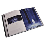 Productafbeelding De Kunst van Harry Potter - Het grote Harry Potter boek