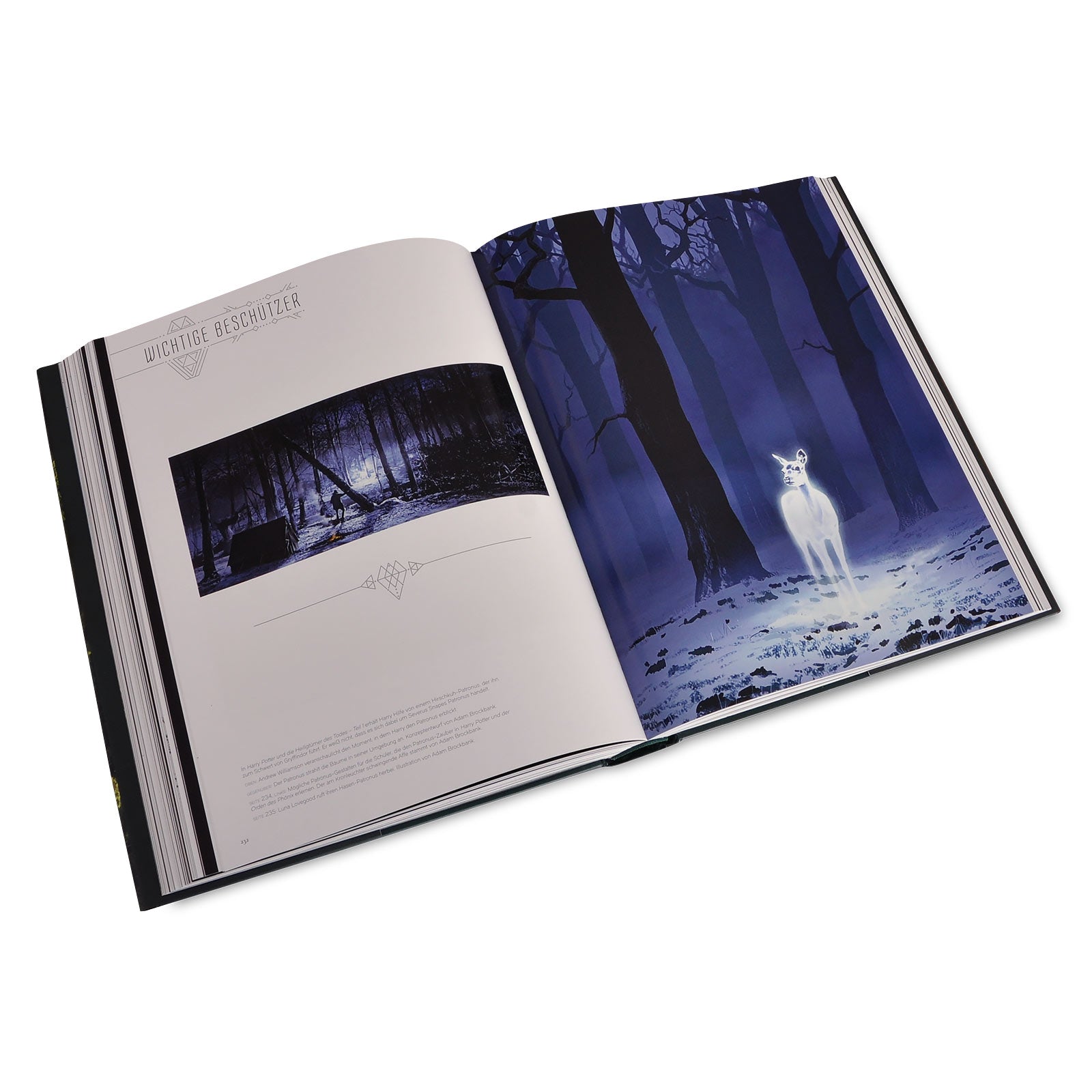 Productafbeelding De Kunst van Harry Potter - Het grote Harry Potter boek