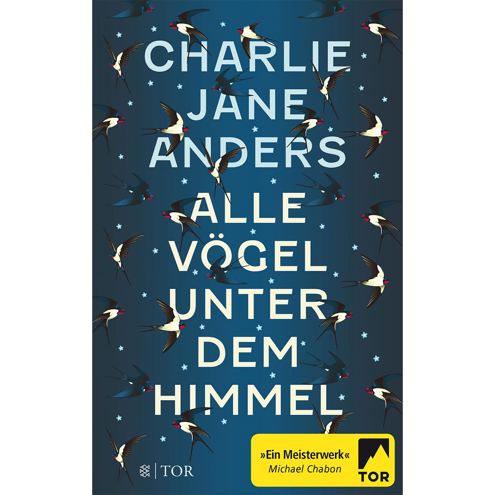 Productafbeelding Alle vogels onder de hemel - Paperback