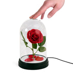 Produktbild Die Schöne und das Biest - Enchanted Rose Tischlampe