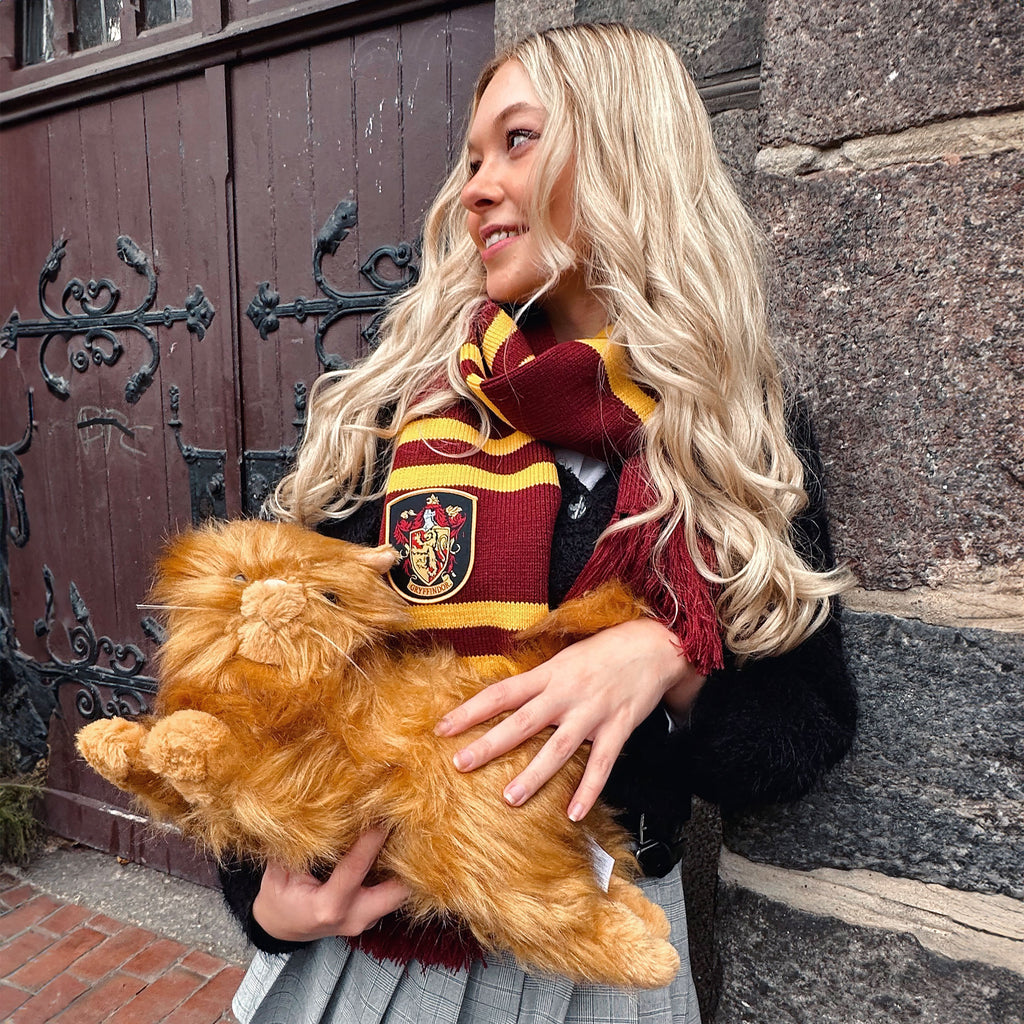 Produktbild Harry Potter - Krummbein Plüsch Figur 43 cm