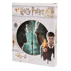 Productafbeelding Harry Potter - Harry vs. Voldemort Wandafbeelding met licht