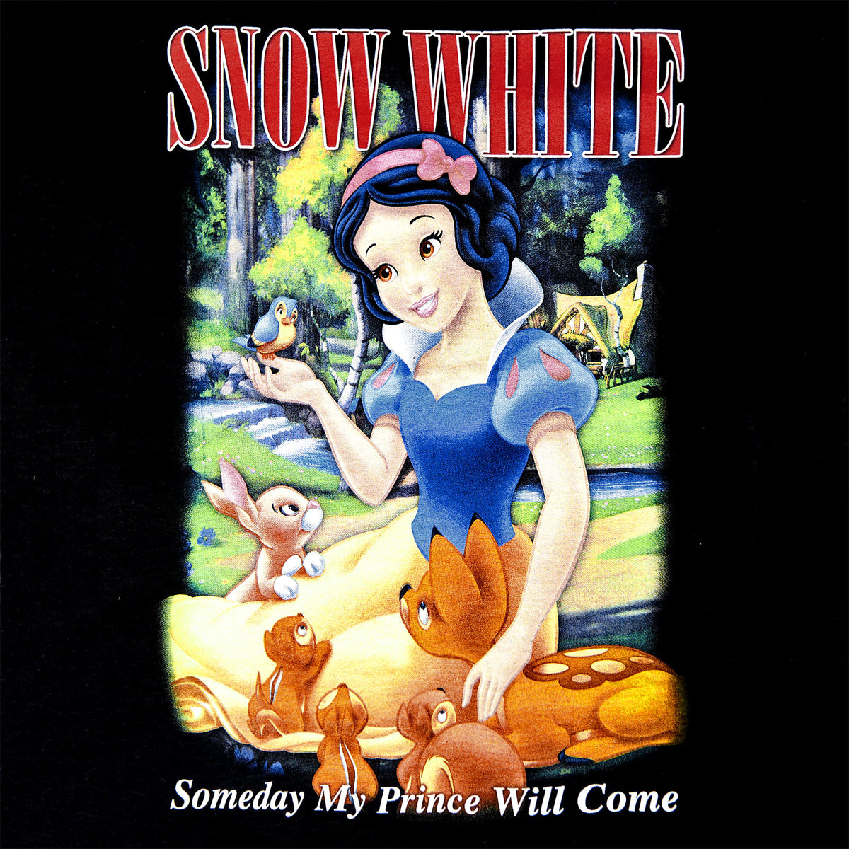 Productafbeelding Sneeuwwitje - Mijn Prins Komt Dames T-shirt Zwart
