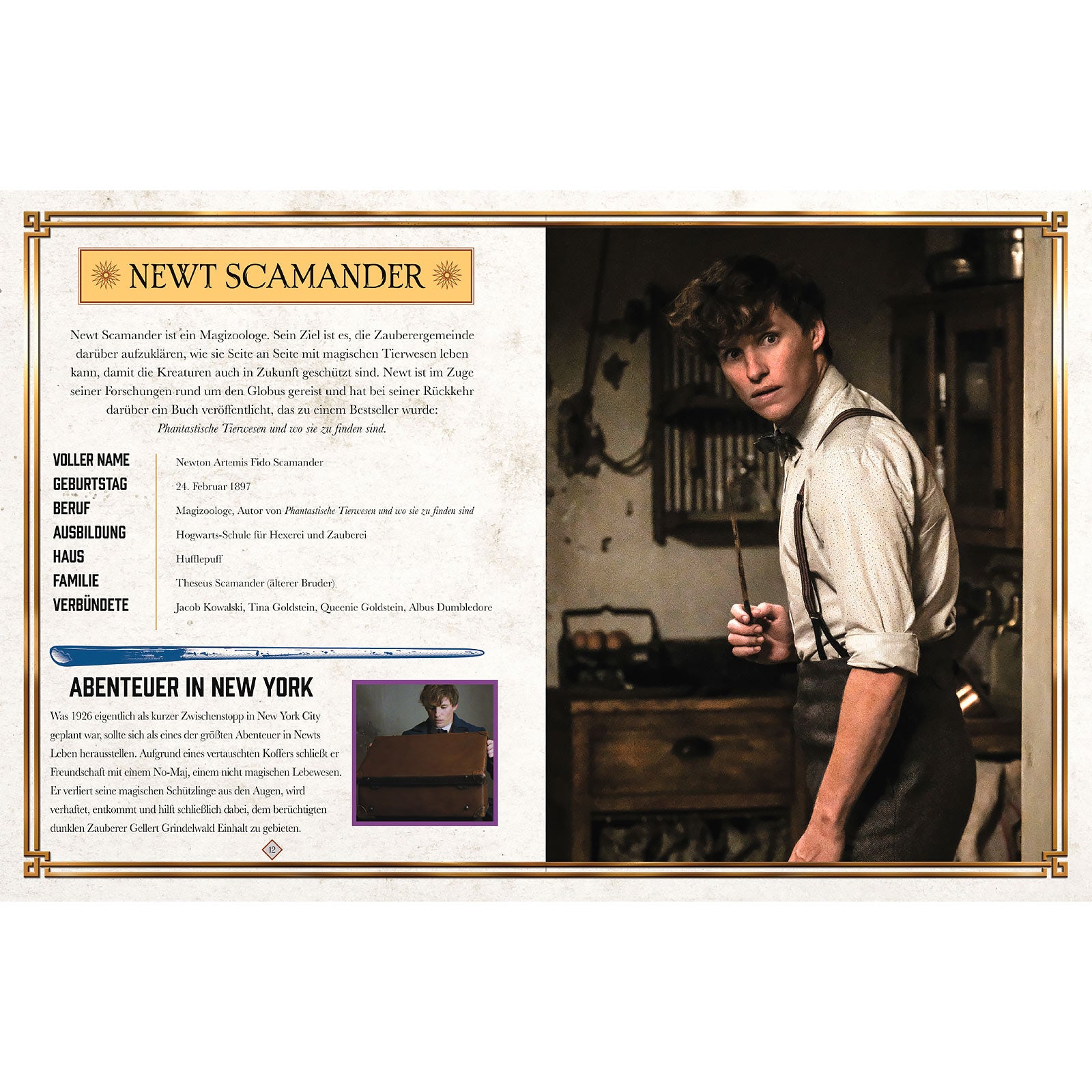 Productafbeelding Fantastic Beasts - De misdaden van Grindelwald - Het boek bij de film