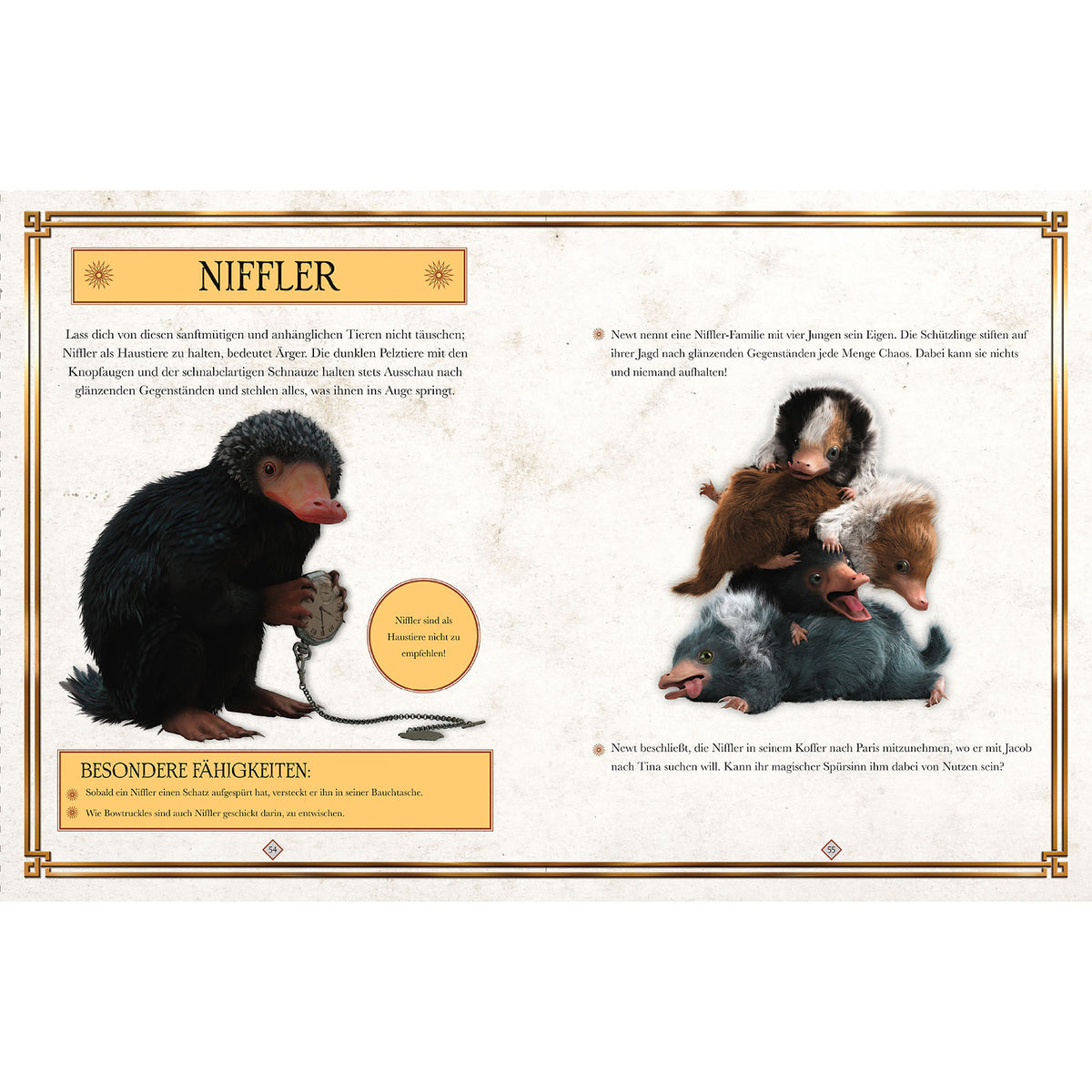 Productafbeelding Fantastic Beasts - De misdaden van Grindelwald - Het boek bij de film