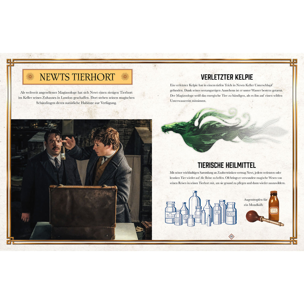 Productafbeelding Fantastic Beasts - De misdaden van Grindelwald - Het boek bij de film