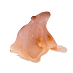 Image produit Nez de sorcière en latex
