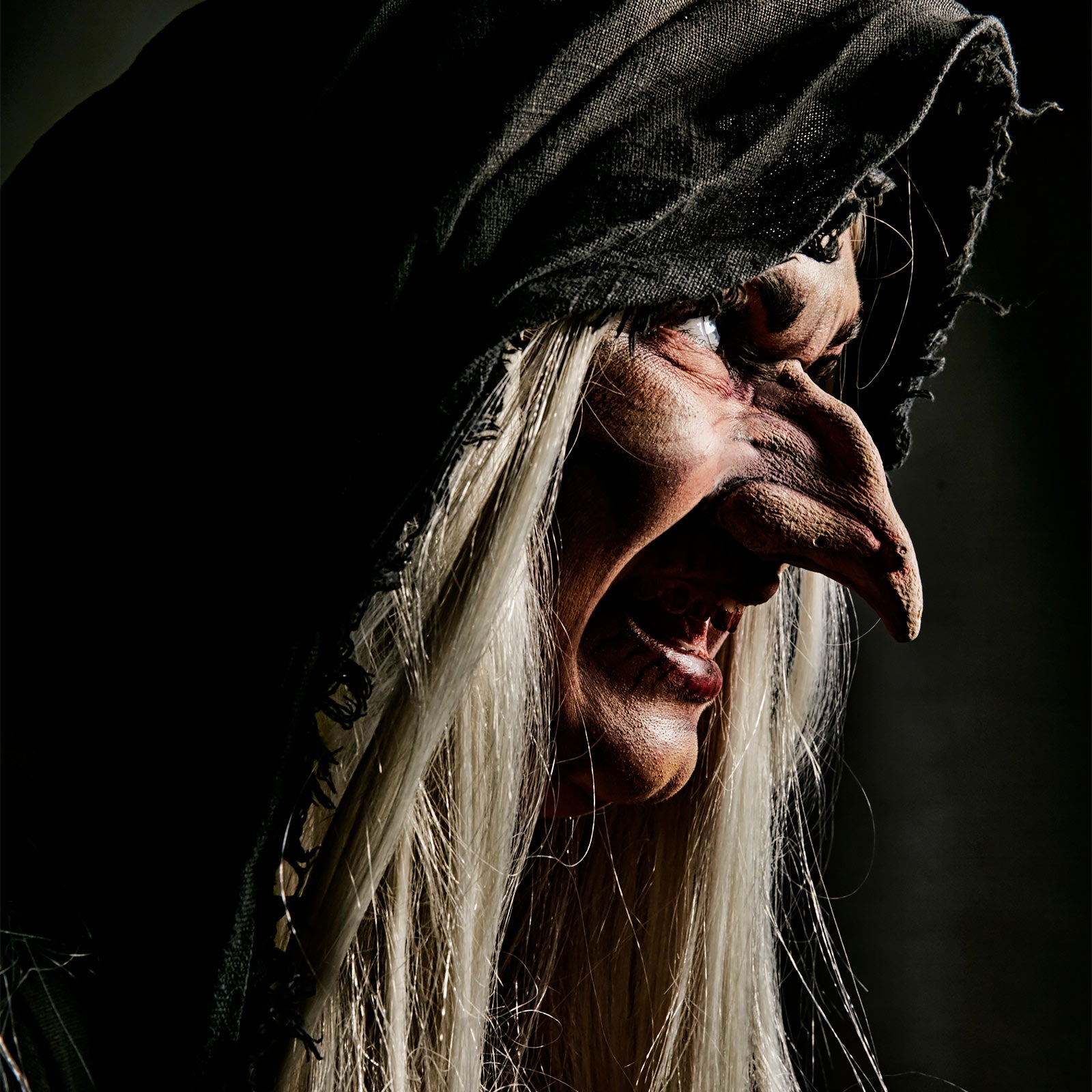 Image produit Nez de sorcière en latex