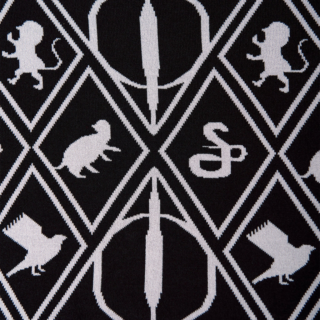 Productafbeelding Harry Potter - Magische Symbolen Poncho