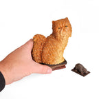 Productafbeelding Crookshanks - Harry Potter Magische Beesten Beeldje