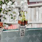 Productafbeelding Fantastische Beesten - Bladwijzer Set