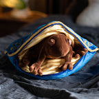 Produktbild Harry Potter - Schokofrosch Kissen mit Plüsch Figur