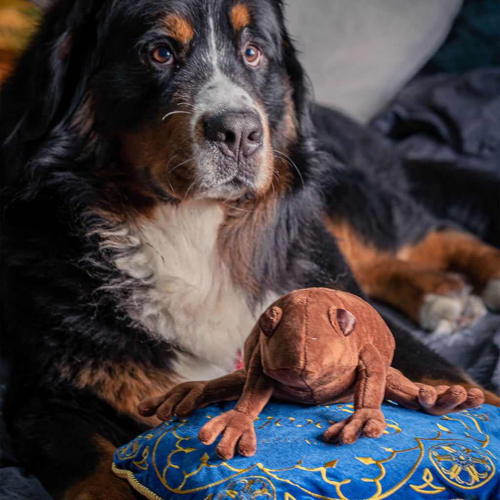 Produktbild Harry Potter - Schokofrosch Kissen mit Plüsch Figur