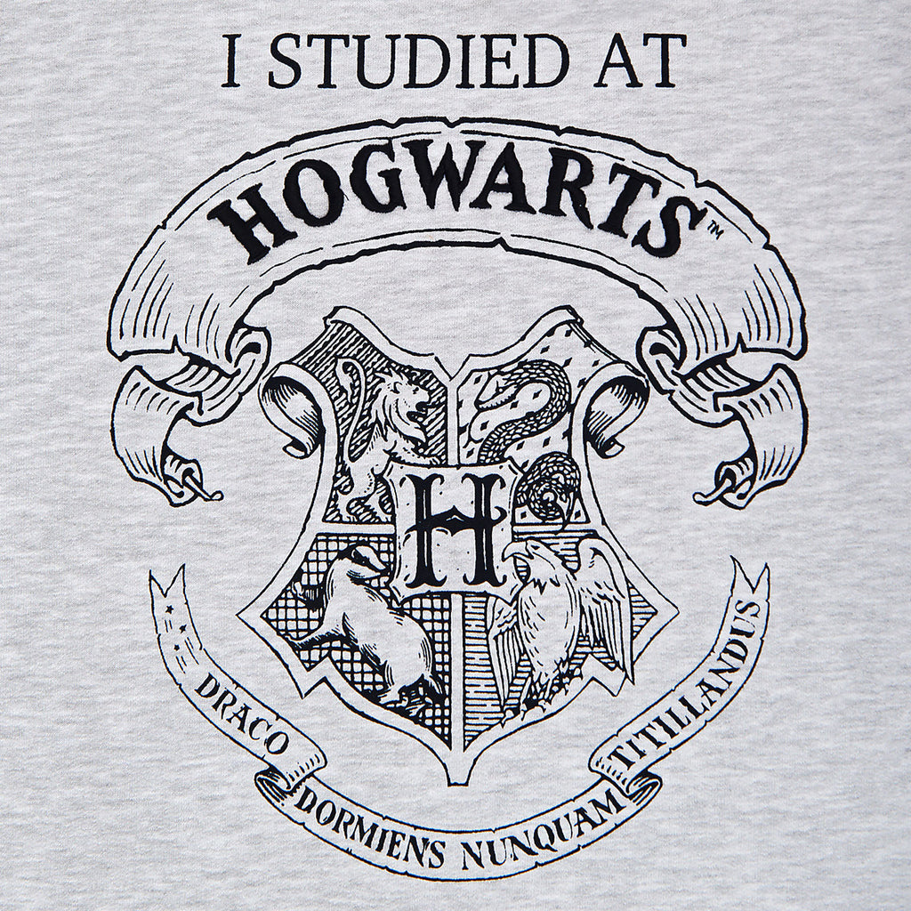 Productafbeelding Harry Potter - Ik heb gestudeerd aan Hogwarts Dames Sweater grijs