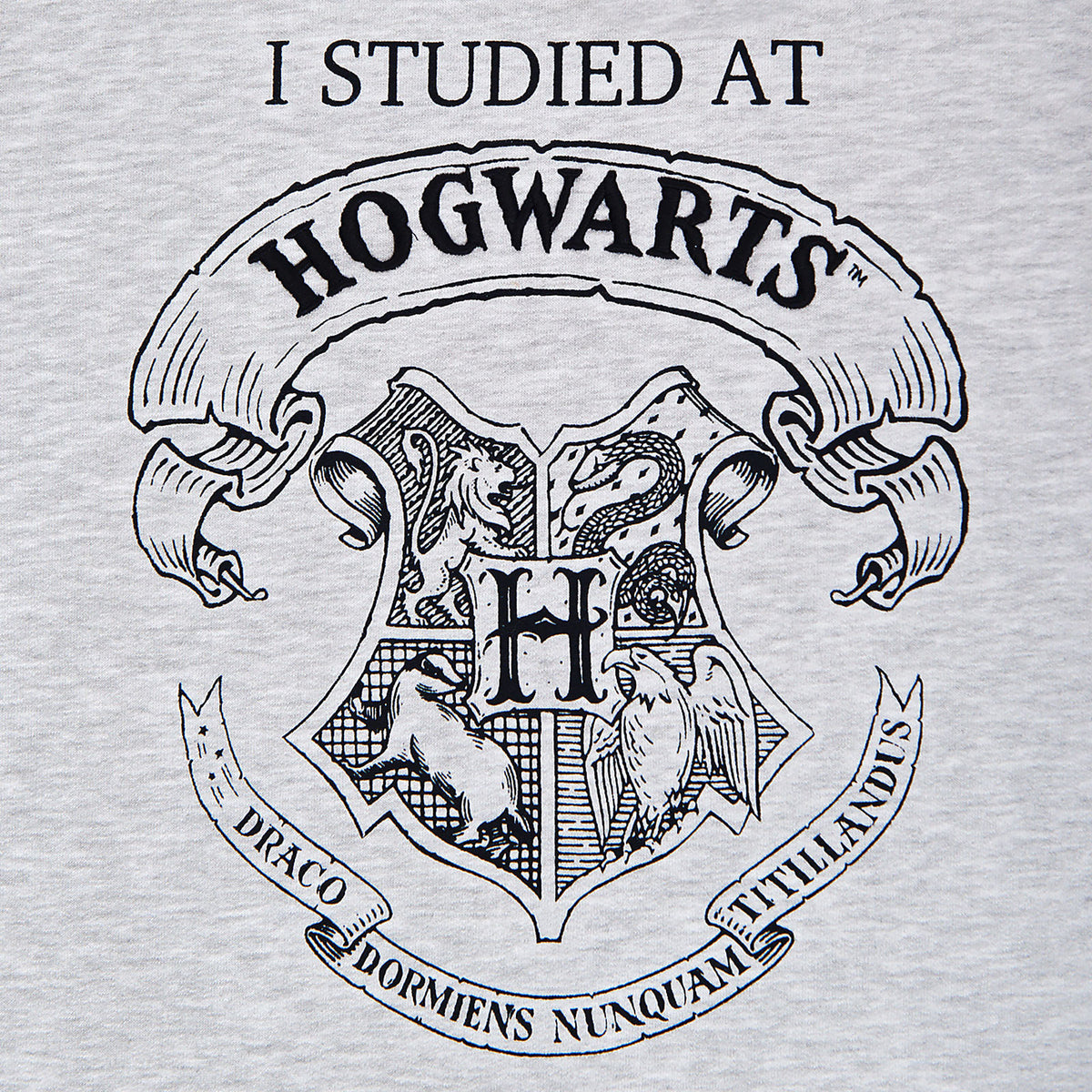 Productafbeelding Harry Potter - Ik heb gestudeerd aan Hogwarts Dames Sweater grijs