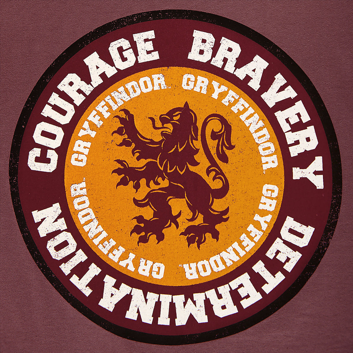 Produktbild Harry Potter - Gryffindor Values T-Shirt rot