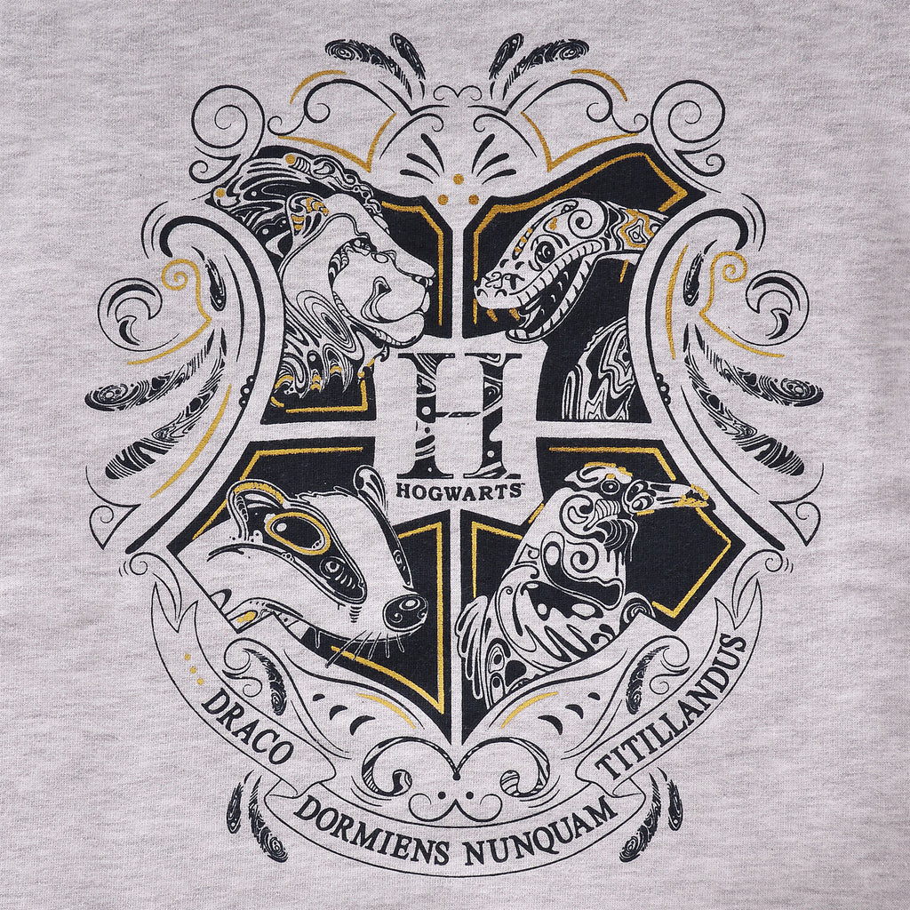 Produktbild Harry Potter - Hogwarts Kinder Hoodie grau