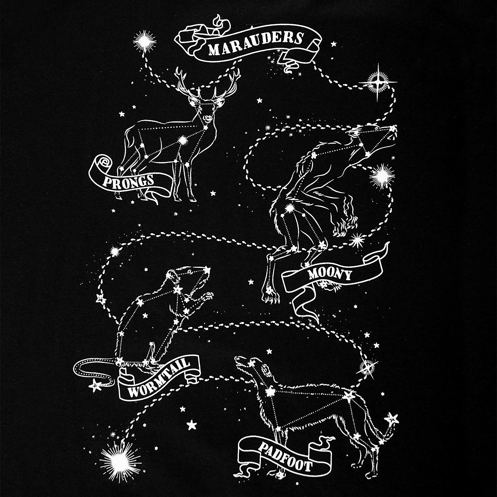 Image produit Harry Potter - T-shirt Astrologie des Maraudeurs noir