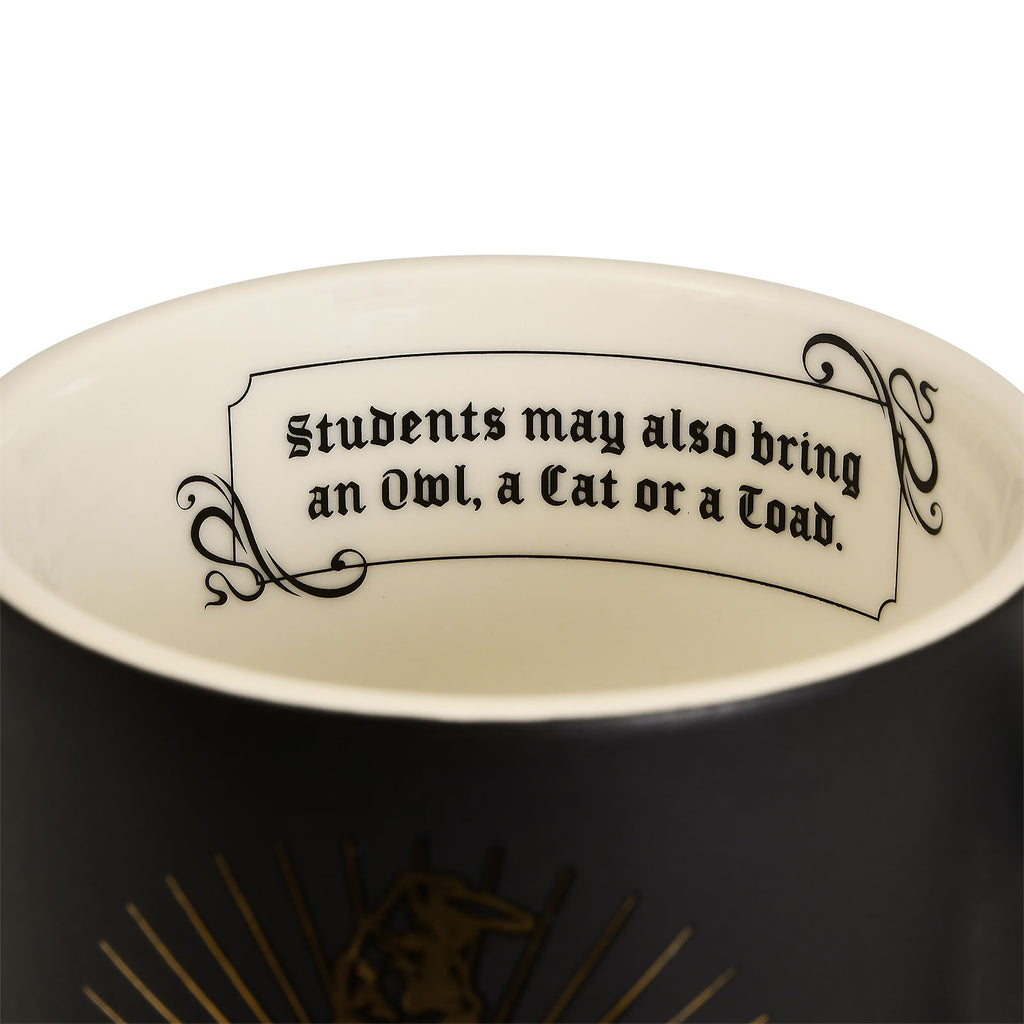 Productafbeelding Harry Potter - Hogwarts School Lijst Mok XXL