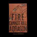 Produktbild Game of Thrones - Fire Cannot Kill a Dragon Targaryen T-Shirt schwarz