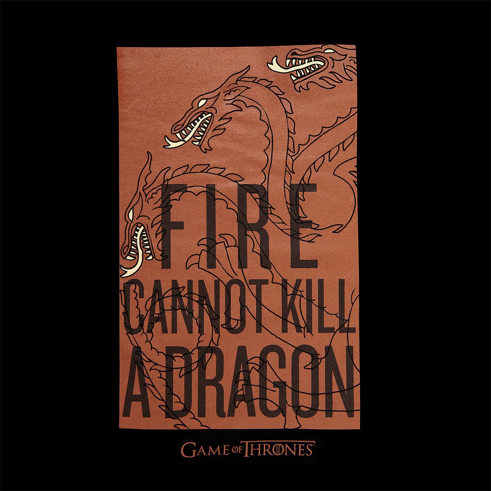 Produktbild Game of Thrones - Fire Cannot Kill a Dragon Targaryen T-Shirt schwarz
