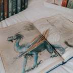 Productafbeelding Harry Potter en de Vuurbeker - Sieradeneditie