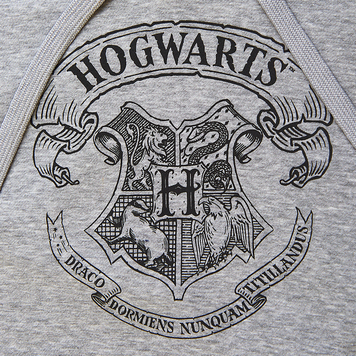 Image produit Harry Potter - Sweat à capuche gris avec blason de Poudlard
