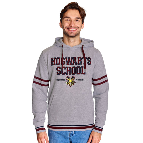 Productafbeelding Harry Potter - Hogwarts School Hoodie grijs