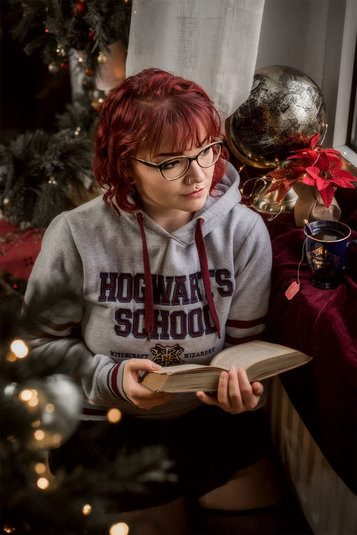 Productafbeelding Harry Potter - Hogwarts School Hoodie grijs