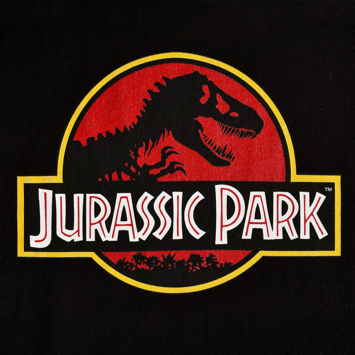 Produktbild Jurassic Park - Logo T-Shirt Damen schwarz