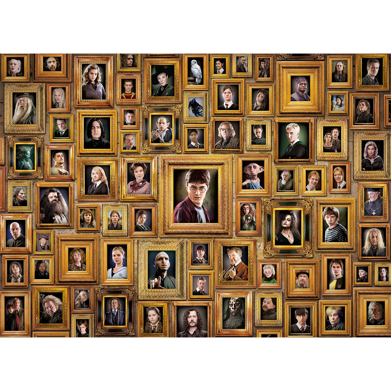 Produktbild Harry Potter - Impossible Characters Puzzle