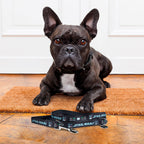 Image produit Star Wars - Laisse pour chien Darth Vader noir